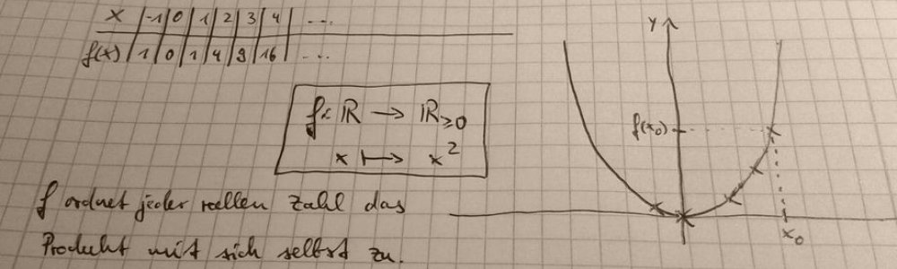 Mathematische Darstellungen und deren kognitive Verarbeitung
